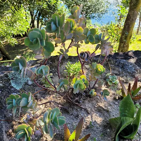 Hébergement de vacances Square House *