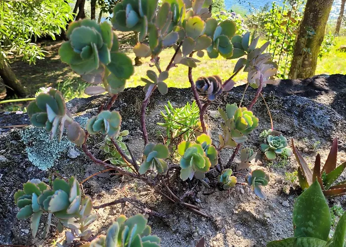 펜션 Square House *